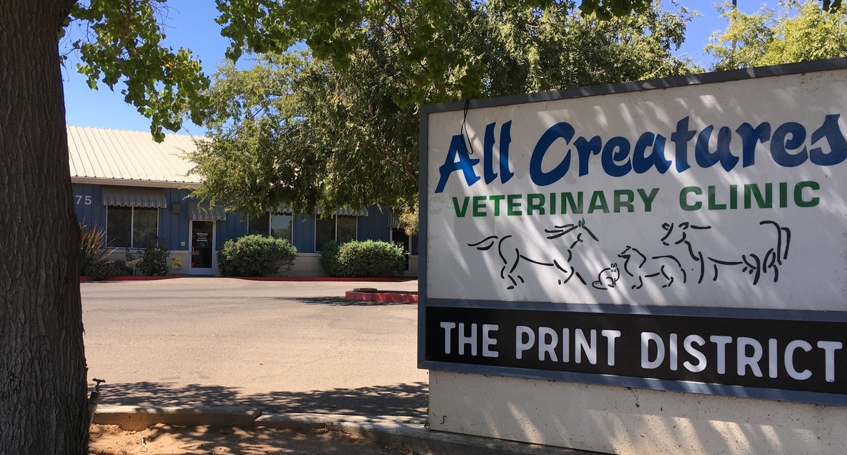 All Creatures Vet Clinic Veterinarians In Fresno, CA Home